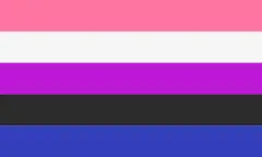 Genderfluid pride flag, made up of horizontal stripes of, from top to bottom, pink, white, purple, black, and blue.