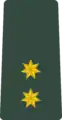 ლეიტენანტიLeit’enant’i(Georgian Land Forces)
