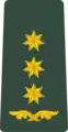 Georgia(პოლკოვნიკი, polkovnik)
