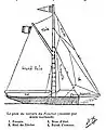 Firecrest sailplan