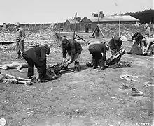 German civilians forced to bury victims