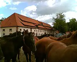 inside Hunnesrück stud farm