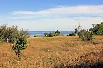 Landscape and lake