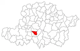 Location in Arad County