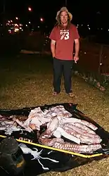 #634 (17/5/2015)Remains of a giant squid gaffed from the surface off Wollongong, New South Wales, Australia, on 17 May 2015. The specimen was collected by Ryan Field (pictured) and Ben Allaham. It is shown here alongside a "typical" squid for size comparison.