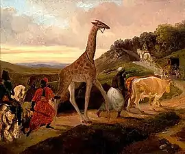 Zarafa the giraffe, journey to Paris
