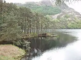 The shoreline of a lake with a mountain in the background