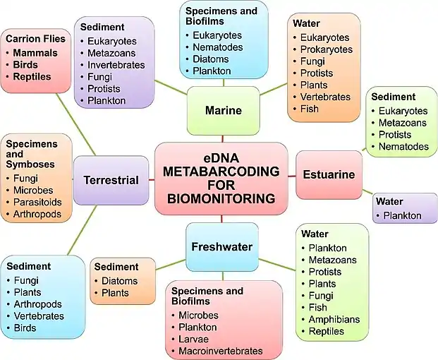 Global ecosystem and biodiversity monitoringwith environmental DNA metabarcoding 