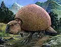 Glyptodon, from the Pleistocene of South America, was a car-sized relative of armadillos.