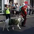 Goat Master with mascot in Monnow Street during the Olympic torch procession in 2012