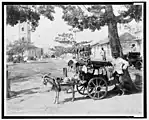 Goat wagon peddler at the Plaza del Cristo with Church of Christ in Background, in 1895.
