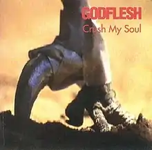 A still frame of the song's music video featuring a rooster's foot taped with an extra claw