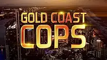 Title card for Season 1 of Gold Coast Cops