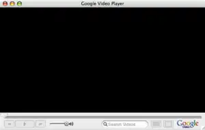 Google Video Player main window