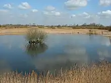 Woodwalton Fen