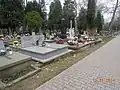 Stefan Wolski's grave