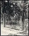 Wrought iron gate at Grace Episcopal Church in St. Francisville, Louisiana