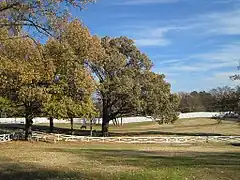 Graceland back yard