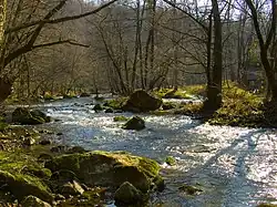 Gradac River near Valjevo