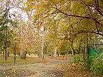 Park in autumn 1