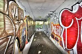 Graffiti-lined tunnel in San Francisco