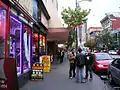 The last few remaining pornography and peep show stores on Granville Street. circa 2005