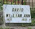 William David (1835–1903) Ann David, née Walters (1836–1899)