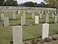 Graves of Jewish Commonwealth dead