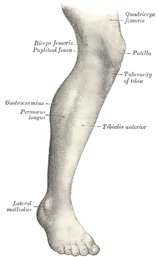 Lateral aspect of right leg