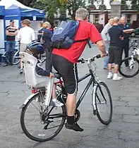 A child in a bicycle carrier