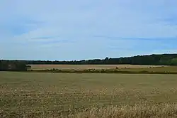 Farmland near the Greenville Municipal Airport