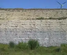 Chalk rhythmites in "old Benton" Greenhorn member in Kansas