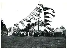 A black and white photo of several Red Ensigns defaced with iwi names flying in Rotarua in 1920 on the occasion of Edward, Prince of Wales' royal tour