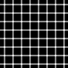 Scintillating grid illusion: Dark dots seem to appear and disappear rapidly at random intersections, hence the label "scintillating".
