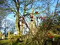 Winter berries in Grindon village