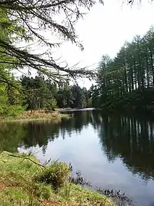 Grizedale Tarn