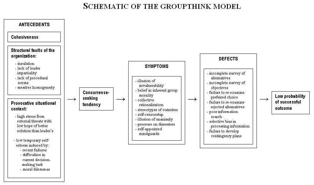 Groupthink schematic