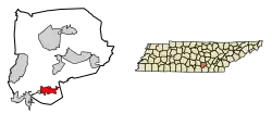 Location of Tracy City in Grundy County, Tennessee.