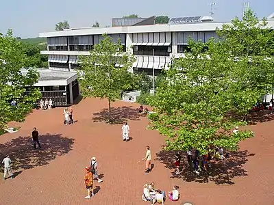 Students relax in a sunny courtyard outside between classes.