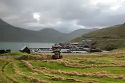 Hósvík, harvesting hay