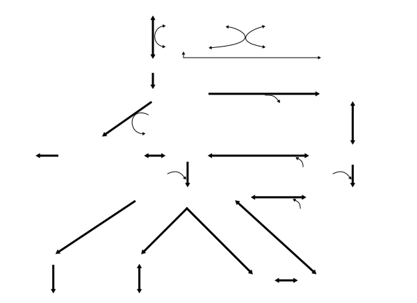 Diagram of leucine, HMB, and isovaleryl-CoA metabolism in humans