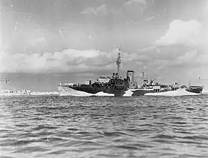 HMS Bryony