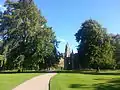 Wentworth Elm (left), Holyrood Palace gardens, Edinburgh (2014)