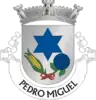 Coat of arms of Pedro Miguel