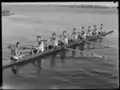 Hale School Rowing Team 1938