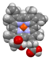 Space-filling model of the heme B complex