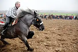 In the paardenprocessie, an event in Hakendover, Belgium.