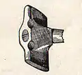 Twist hammer (blacksmithing)