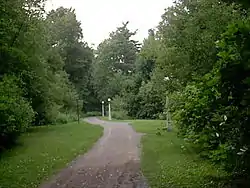 A recreational path in Hampton Park
