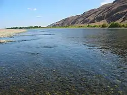 Example: Hanford Reach National Monument, Washington State, US.  The last significant free-running (undammed) section of the Columbia River in the US